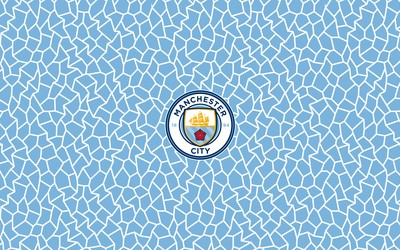 有球体育快讯-B席这战术理解