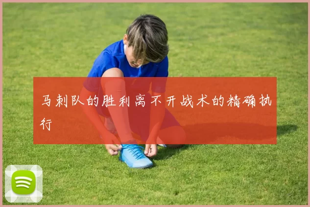 马刺队的胜利离不开战术的精确执行